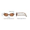MIU MIU Logo Design Oval Sunglasses Women Sunglasses Tortoiseshell MU-04ZSF-19P2Z1