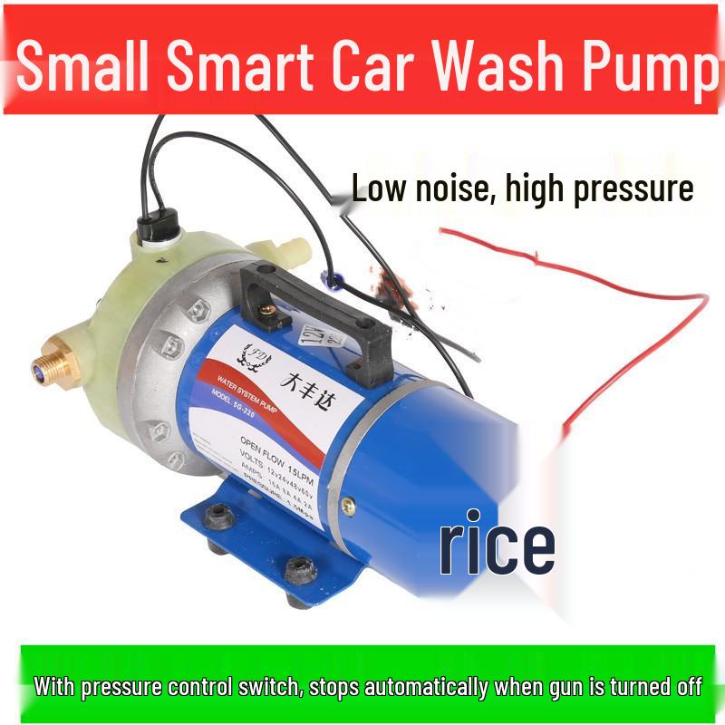 Da Feng Da 310 Electric High-Pressure Self-Priming Water Pump for Spraying & Car Wash - 5-Cylinder Diaphragm Pesticide Applicator.