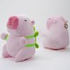 Clearstone Capybara Plush Keychain, Chavimaru Turtle with Music, 23cm, Pink
