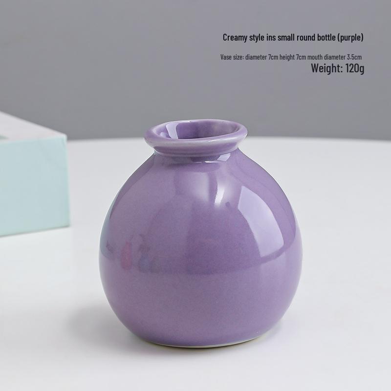 Small Ceramic Desktop Hydroponic Vase for Pothos - Simple Decorative Ornament for Office