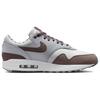 Nike Air Max 1 Premium Shima Shima 2023 Unisex Sneakers Brown Summit-White Plum-Eclipse FB8916-100