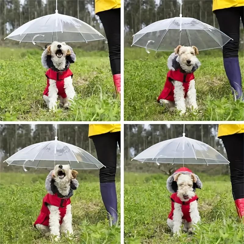 5pcs Transparent Umbrellas Leash for Small Dogs Pet Products Umbrella for Essential Accessory for Rainy Days Dog Walking