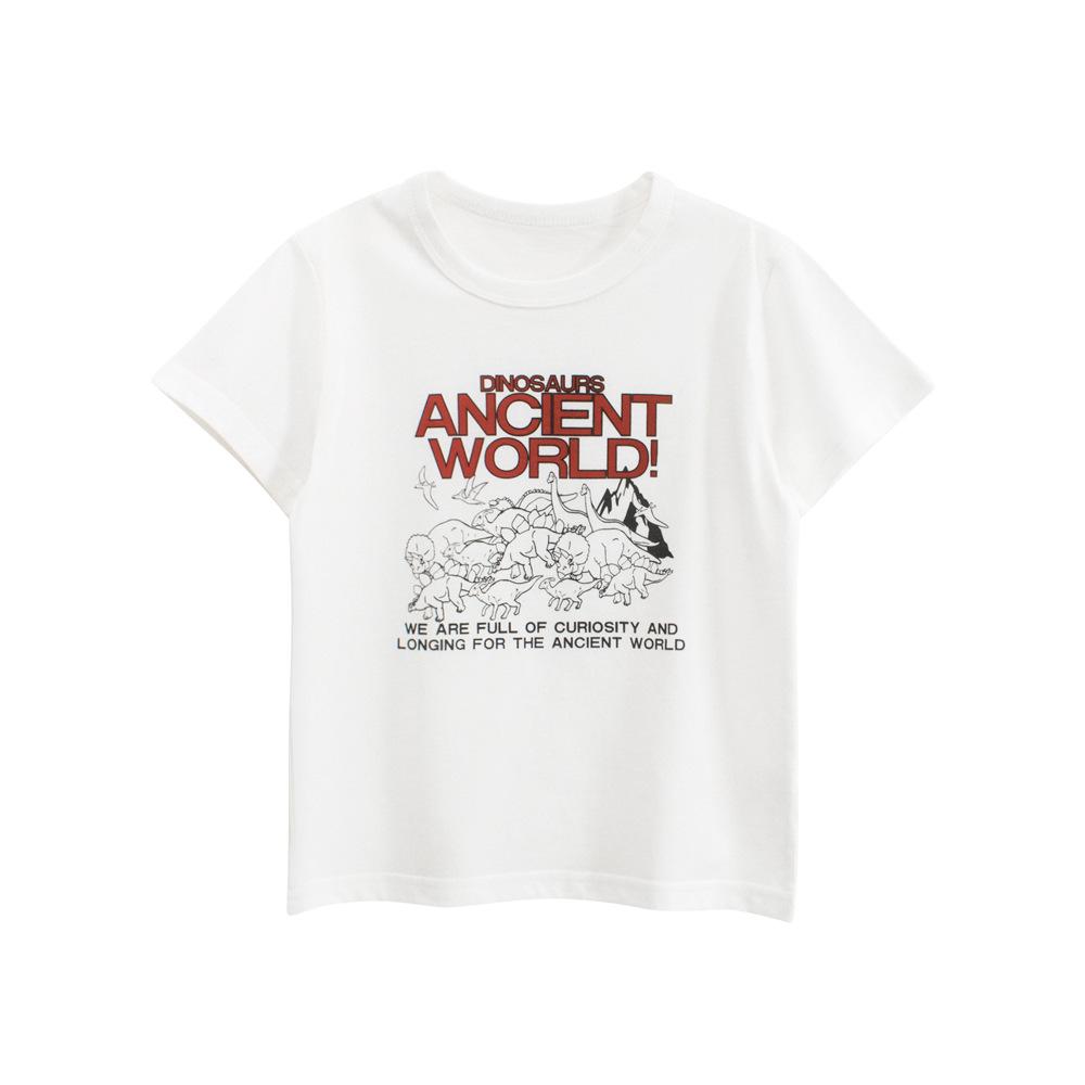 

Children s clothing Korean version of children s short-sleeved T-shirts, baby boy clothes dinosaur printing summer new products 90cm
