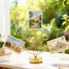 Tabletop Photo Tree Stand With Adjustable Metal Wires And Stable Round Base For Displaying Cards Photos Memos Holiday Decoration