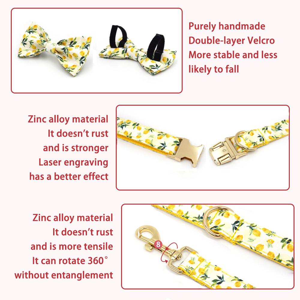 Pet Collar For Cats Small Medium Large Dogs Lemon Printing Luxury Designer Bow Dog Collar & Leash Set With Poop Bag