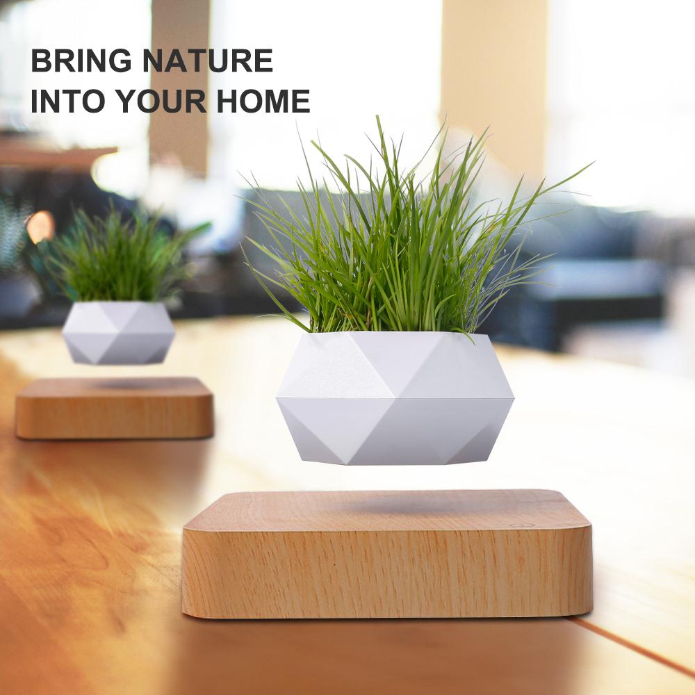 Rotatable Levitating Plant Levitating Plant Pot with Desktop Ornament Plantable Floating Plant Pot