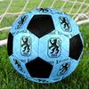 1 шт. Футбольний м'яч TSV 1860 Munich, розмір 5, для гри в приміщенні, модний, кольоровий, для гри на задньому дворі - Чудовий подарунок для спортивних уболівальників HE60