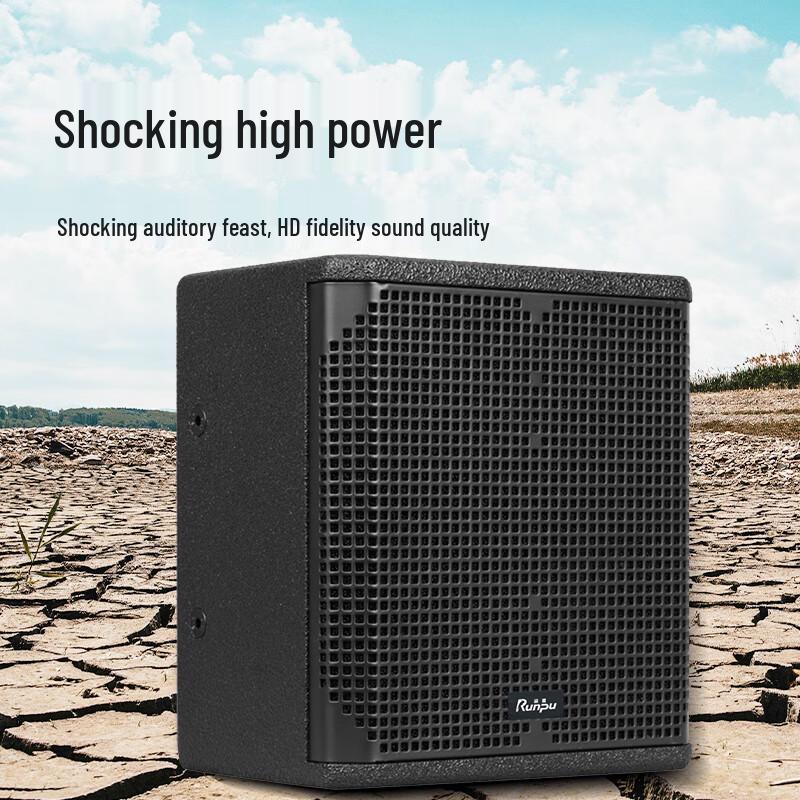 Runpu Professional Dual 8-inch Coaxial Conference Speaker (CN version)