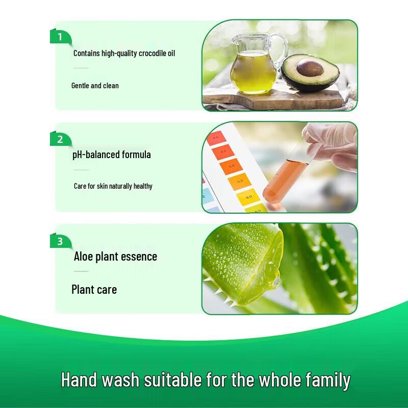 Dettol Gezonde Antibacteriële Handzeep (Plantenverzorging)
