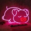 Ampuller – Neon ampul ve tüpler