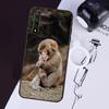 Cute Baby Monkey Animal Case For Huawei Nova 3i 7i 11i 11 Pro 10 9 SE 5T Y60 Y61 Y70 Y90 Y91 P20 P30 P40 Lite Cover