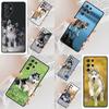 Animal Husky Puppy Cell Phone Case for Samsung Galaxy S26 Ultra S25 S24 S23 S22 S21 S20 Note10 Cover