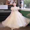 Autumn 2025 Light Luxury Princess Tulle Dress for Girls - Flower Girl, Piano Performance & Catwalk Costume