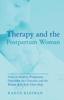 The Therapy and the Postpartum Woman : Notes On Healing Postpartum Depression for Clinicians and the Women Who Seek Their Help Book