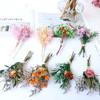 Dried Flower Bouquet High-Quality Fingertip Bouquet Greeting Card Decoration Versatile Diy Flower Kit For Diy Projects Event