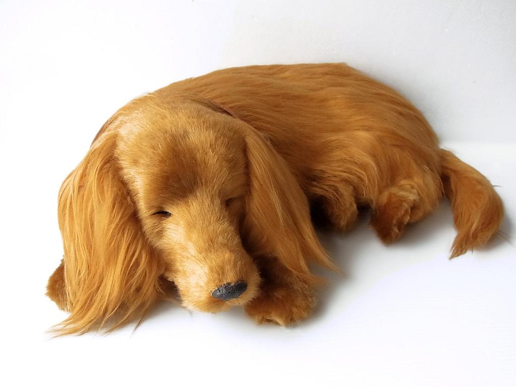 Nini and Kino Perfect Pet (Large Size) Dachshund Long (Red) Stuffed Toy Dog Dog Realistic Look-alike Dachshund Dachshund Miscellaneous Animal Healing