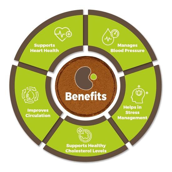 CARMEL ORGANICS Arjuna Bark Powder 340 g (Pack of 1) Supports Healthy Heart Functions | Natural | Erra Maddi | No Added Preservatives
