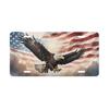 Vintage Metal Tin Sign American Eagle American Flag Cloudy Sky Wall Art Home Decor 12x6in