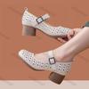 Fashion Elegant Medium Heel Women's Shoes Summer Autumn Fashion Buckle Strap Vintage Hollow Sandals Comfortable Non Slip Mary Jane Shoes