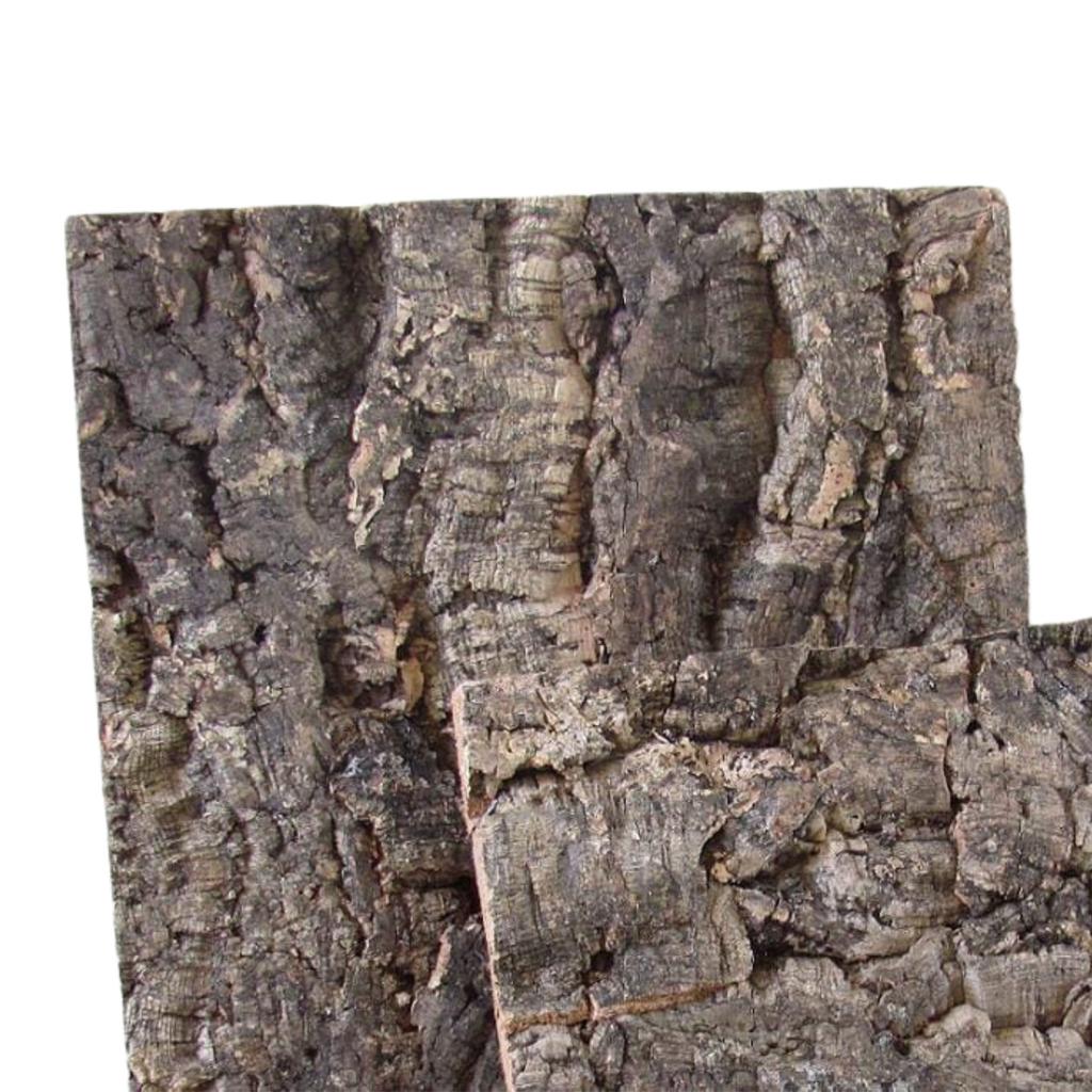 BioVirgin Cork Background Grey 30x30cm cork background for terrariums
