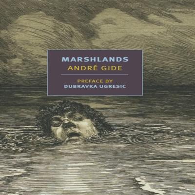 Marshlands by Damion Searls Paperback Book 9781681374727