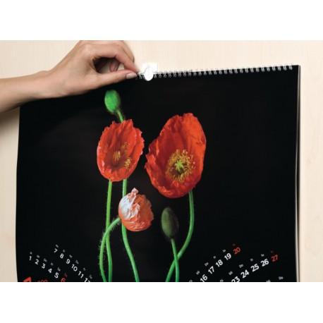 Tesa Hook Hanger Self-Adhesive Nail Up to 1kg Pictures Photo Decorations 2 Pcs