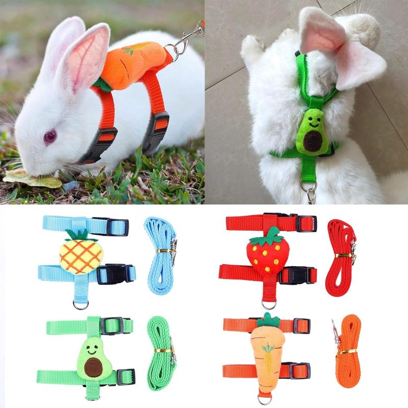 Small Dog Harness and Leash Set Escape Proof No Pull for Puppies Adjustable Cute Harnesses for Rabbit Bunny Hamster