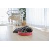 Griffoire pour chat - Kerbl - 3 en 1 - Lit - Jeu - Carton ondulé recyclable