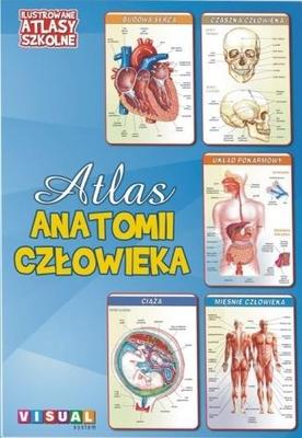 Illustrated School Atlas. Atlas of Human Anatomy.
