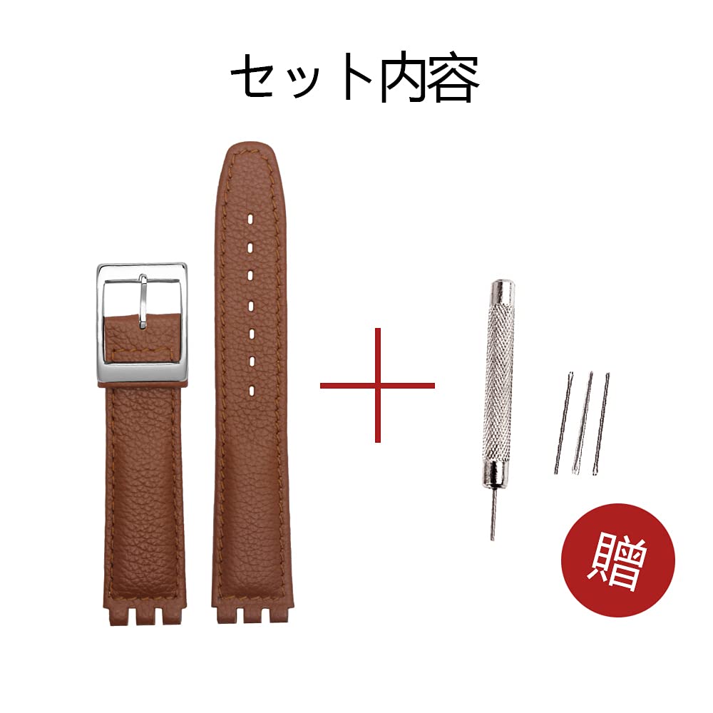 Chocoman 17mm/19mm Replacement Watch Band for Swatch (Includes 3 Spring Bars, Spring Bar Remover, and Box)