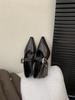 British Style Pointed Mary Jane Single Shoes Women's 2025 Spring and Summer New Korean Version Fashion Retro Light Mouth Thick Heel Small Leather Shoe