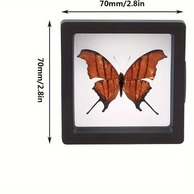 20 Stück Clearview 3D Schwebende Display-Boxen Staubdichte Acryl Schmuckaufbewahrungsbox mit Elastischer Folie Transparenter Hängender Organizer