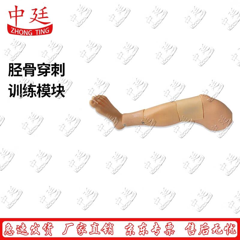 Tibial Puncture Training Module