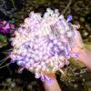 Color-Changing LED Solar String Lights - Outdoor Rainproof Fairy Lights for Camping and Courtyard Decoration