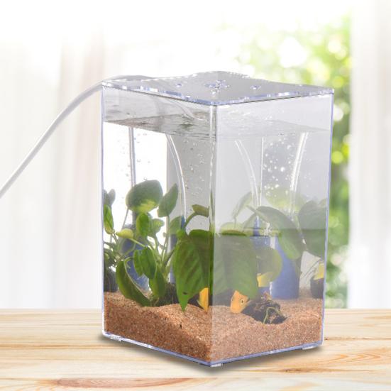 Fish Tank with Lid Transparent Acrylic Fighting Fish Small Micro Landscape Tank for Home