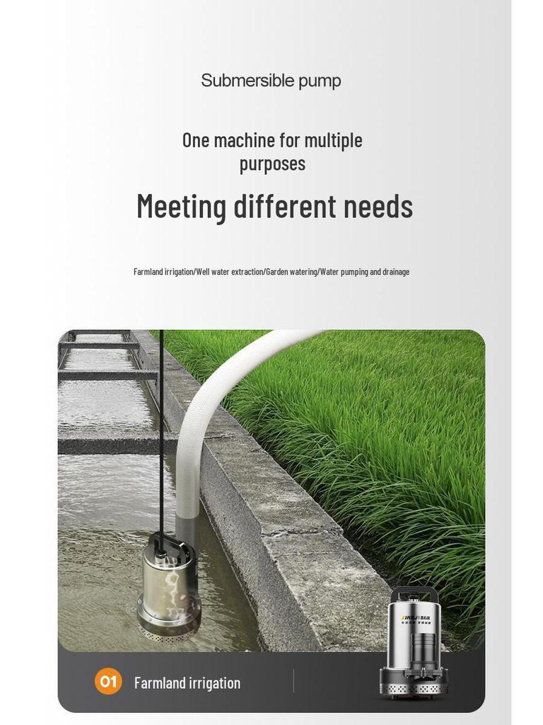 48-72V DC Submersible Pump for Electric Vehicles, Tricycles, and Irrigation