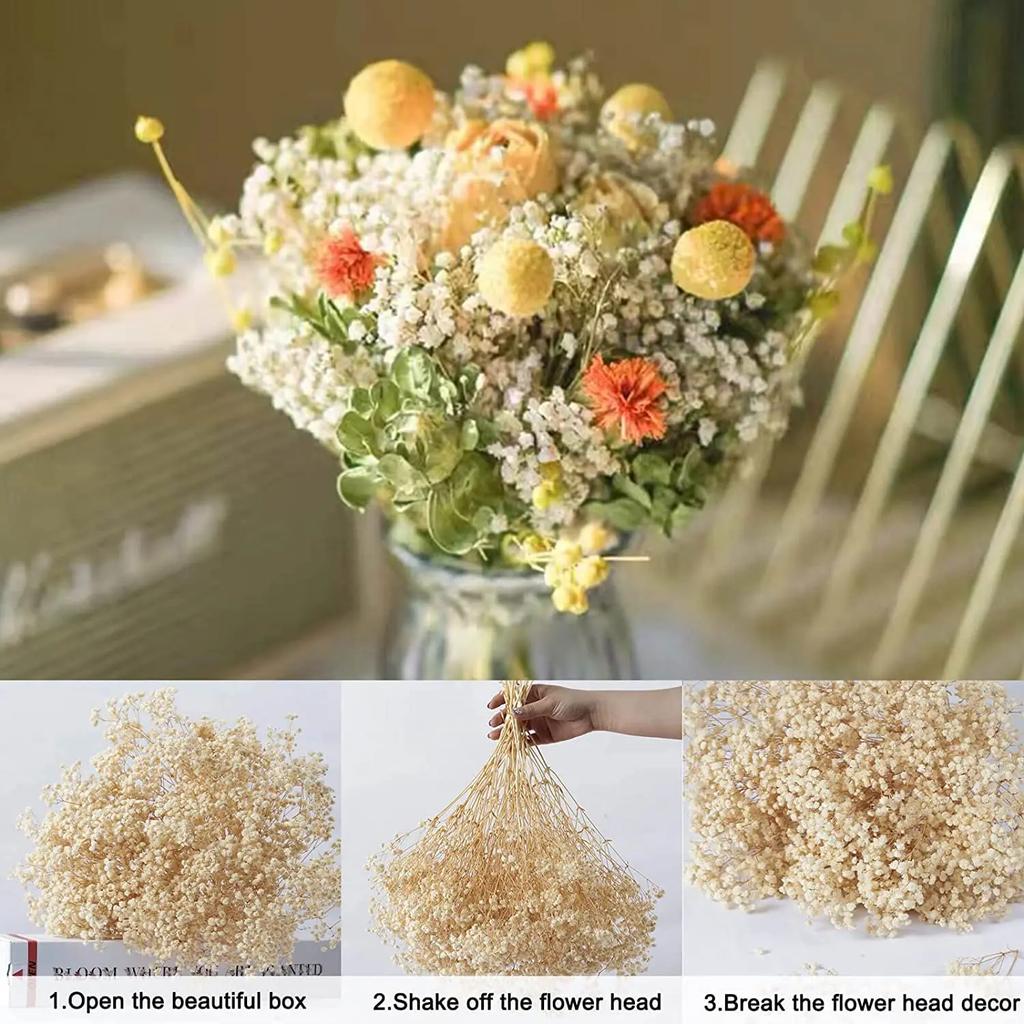Dried Flowers Babys Breath Bouquet Ivory White Flowers Natural Gypsophila Branches for Home Decor Wedding Flowers Bulk for Vase
