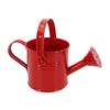 Watering Can Smooth Pouring Stable Position Thick Base