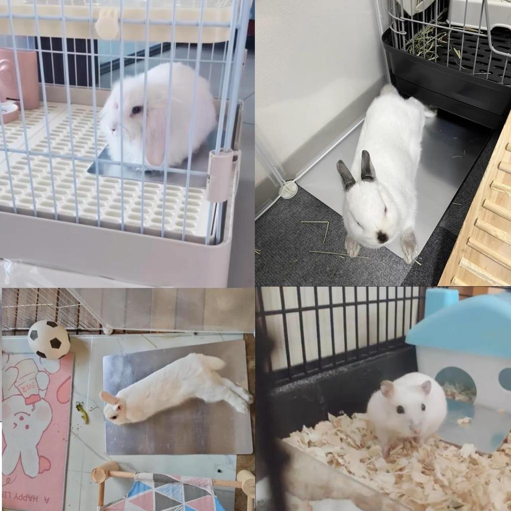 MUYYIKA Cooling Plate for Dogs and Cat Cool Aluminum Cool Cool Cooling Cool Physical Lowers Heat Heat Stroke Prevention X 300 Cats, Bed, Mat, Mat,