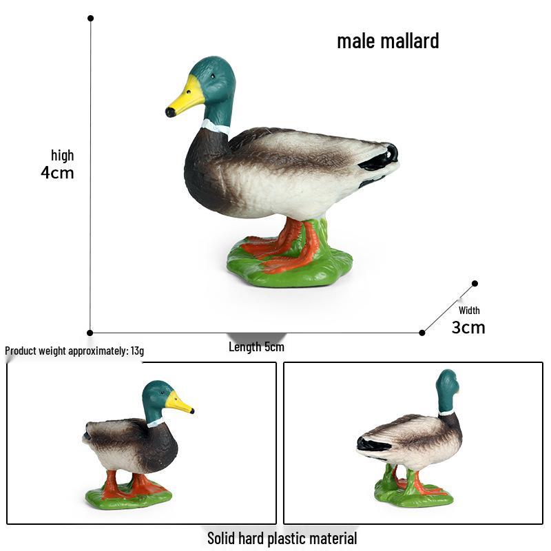 Wild Safari Animal Figurines: Giraffe, Elephant, Rhinoceros, Brown Bear, Tiger, Lion, Leopard, Hippopotamus - Solid Cognitive Toys