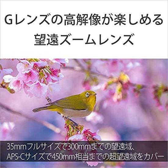 Sony SEL70300G Telephoto Zoom FE G OSS G Genuine Lens for Digital SLR Cameras Lens, Full-Frame 70-300mm F4.5-5.6 Lens, [E-mount]