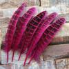 10 Pcs Beautiful High Quality 10-15cm/4-6inches Natural Pheasant Feathers 11 Colors Optional DIY Decorative