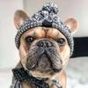 Warm Winter Hats for Dogs, Windbreaker, French Bulldog Knitting, Hat for Chihuahua, Softball, Hat for Pets, Accessories for Puppies