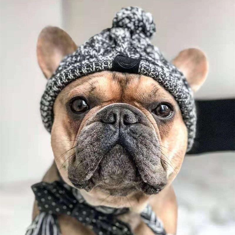 Warm Winter Hats for Dogs, Windbreaker, French Bulldog Knitting, Hat for Chihuahua, Softball, Hat for Pets, Accessories for Puppies