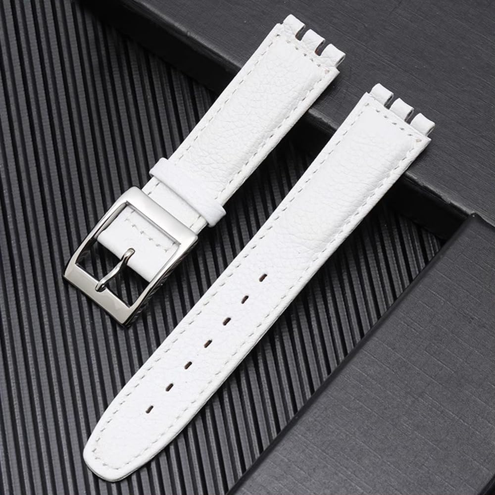 ZHUOLEI Swatch Watch Includes 3 Spring Spring Bar and Box Strap, 17mm/19mm, Bars, Remover,