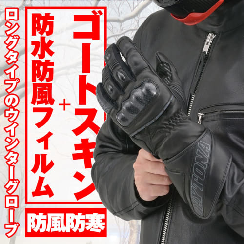 Daytona Motorcycle Gloves Autumn/Winter Genuine Leather (Goat Leather) Waterproof Windproof Carbon Protector Compatible with Smartphones AW Sports Lon