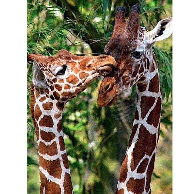 5D DIY Diamond Painting Giraffe Full Square/Round Drill Rhinestone Handcraft Kits Diamond Embroidery Animals Home Decoration