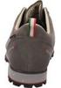 Hiking Shoes Dolomite 54 Low GTX FG Evo GTX (292530-1181) Pewter Grey