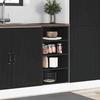 VidaXL Low Cabinet "Riga" Black 40 X 44.5 X 81.5 Cm Engineered Wood 854203