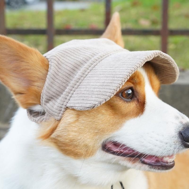 Safety Dogs Baseball Caps with Stretch Chin Rope Fashion Cool Dogs Cats Hat Baseball Caps Pet Protects Ridding Caps